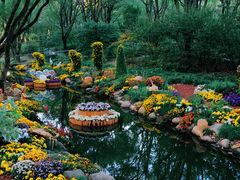 -上海共青森林公园