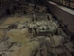 android_upload_pic-洛阳周王城天子驾六博物馆