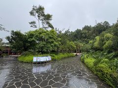 -腾冲洞山温泉村
