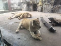 -南昌动物园