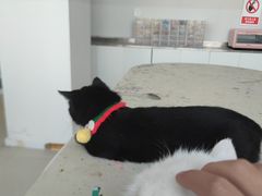 -怪兽屋·羊驼·猫咖·狗咖(俊华广场店)