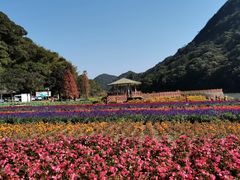 -广州市石门国家森林公园