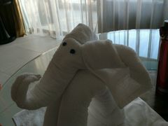 android_upload_pic-三亚海棠湾万丽度假酒店
