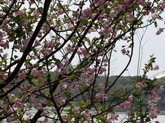 -昆山城市生态森林公园