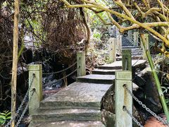 -水濂山森林公园