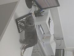 -可蒙动物医院·猫科·骨科中心(首义路店)