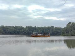 -大湾区中央湿地公园