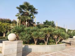 -黄河小浪底水利枢纽风景区