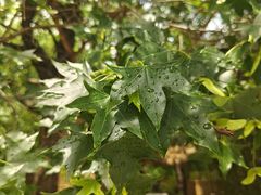 -大连植物园