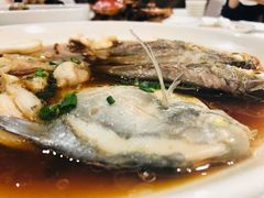 -天宫南铂玫瑰园酒店