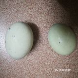 凉拌菜中的经典菜_凉拌皮蛋