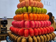 -麦雪尔甜品·生日蛋糕(新街口旗舰店)