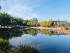 -望湖公园