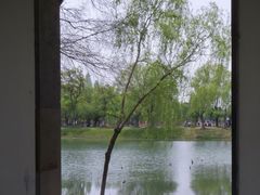 -尚湖风景区