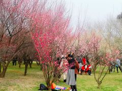 -蜀冈西峰生态公园