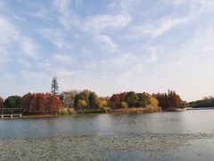-尚贤河湿地