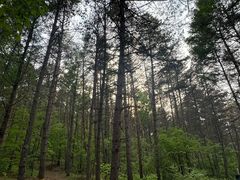 -帽儿山国家森林公园