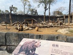 -武汉动物园