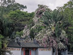 -深圳国际园林花卉博览园