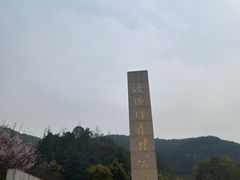 -铁山坪森林公园