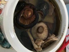 -苏州雏渐肥月嫂