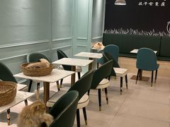 -安格丽娜·狗咖·猫咖羊驼咖(春熙路百盛商场店)