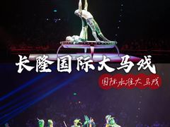 -珠海横琴长隆《卡卡虎奇遇记》