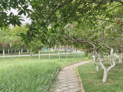 -南翠屏公园