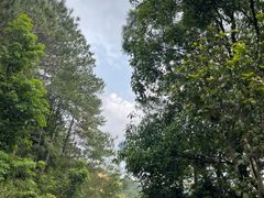 -白云山风景名胜区