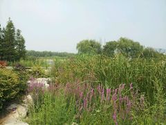 android_upload_pic-云龙湖旅游景区