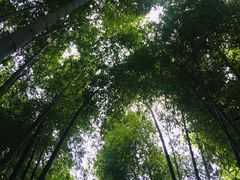 -宝岩生态观光园