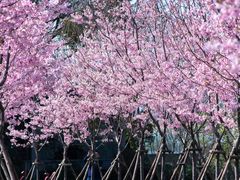 -福建鲤鱼洲酒店