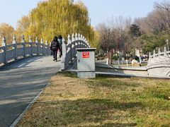-西安世博园