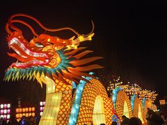 -青龙湖公园