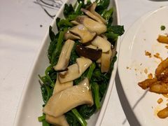 皇子菇扒豆苗-鱼乐轩海鲜专门店