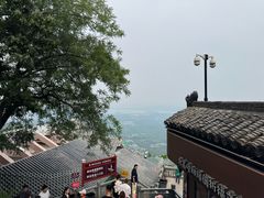-灵顺寺