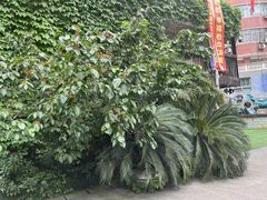 -金豆子幼稚园