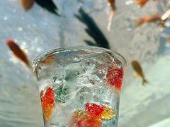 -16毫米咖啡&酒吧(南锣鼓巷店)