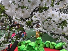 -爱彼格林珑悦幼儿园