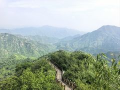 -大岭沟猕猴桃谷风景区
