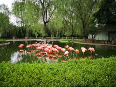 -石家庄市动物园