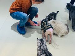 -藏猫猫咖啡主题馆(中央大道店)