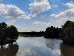 -上海海湾国家森林公园