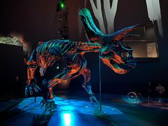 -墨尔本博物馆(Melbourne Museum)