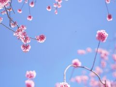 -天龙八部武侠城