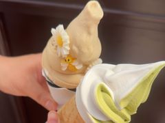 -麦丽丝红油辣椒冰淇淋(江家巷店)