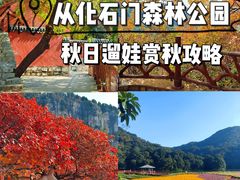 -广州市石门国家森林公园