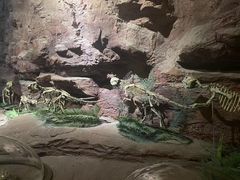 -安徽省地质博物馆