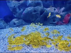 -蓬莱欧乐堡海洋极地世界