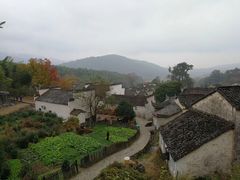 -塔川景区